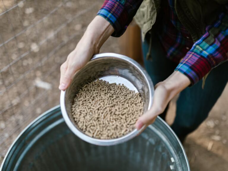 calefacción por biomasa: pellets de madera